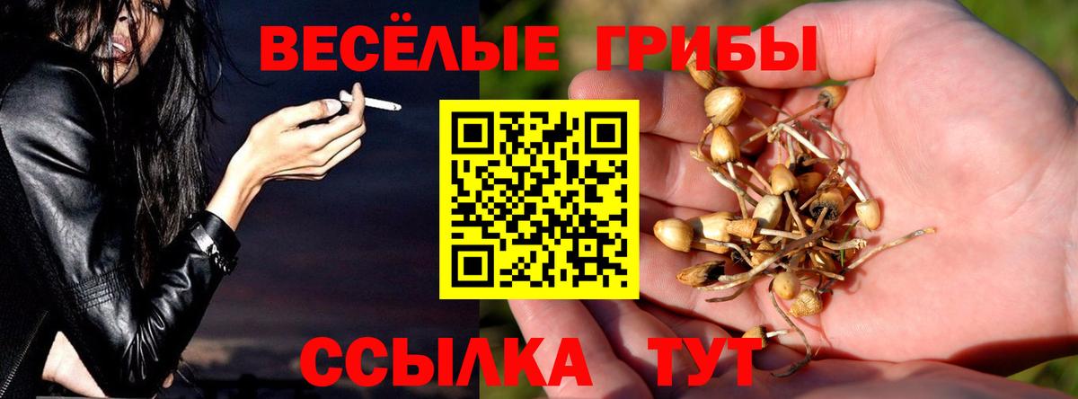 COCAIN Сердобск