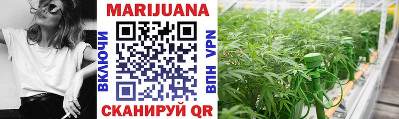 Бошки марихуана SATIVA & INDICA  Сердобск 